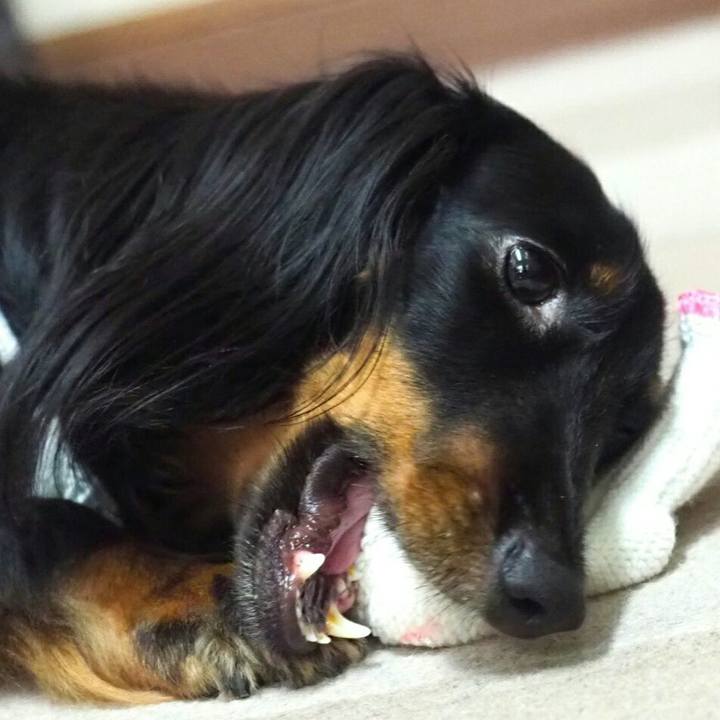 07d32fcf 83cf 470a bcba 69c41e26c840 1536375911688