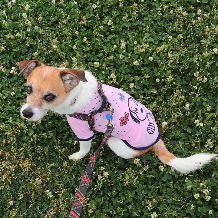 07d336c9 f073 4218 bda9 69f6536c7dff 1558998219770