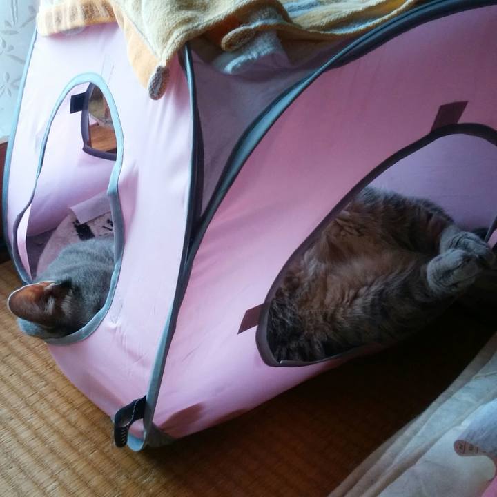 07d35cf6 f0e8 4615 af83 11c4aef1549a 1537597844959