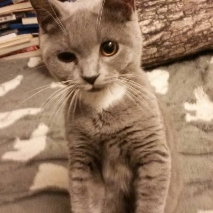 07d37b8e f2b3 46d2 b451 e0e4cb276d7a 1536582551396