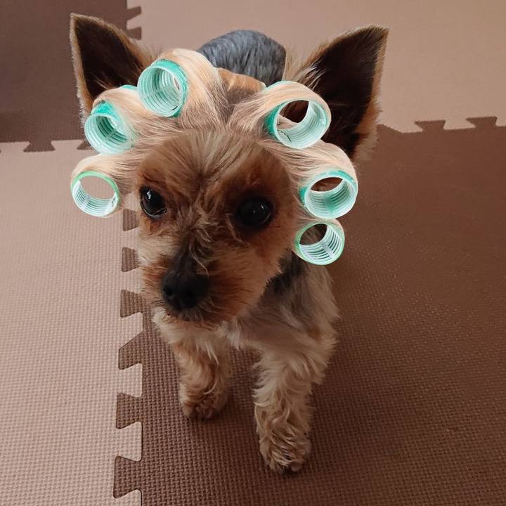 07d3a4b5 6805 46ca a5a0 31ffee31899d 1559703354716