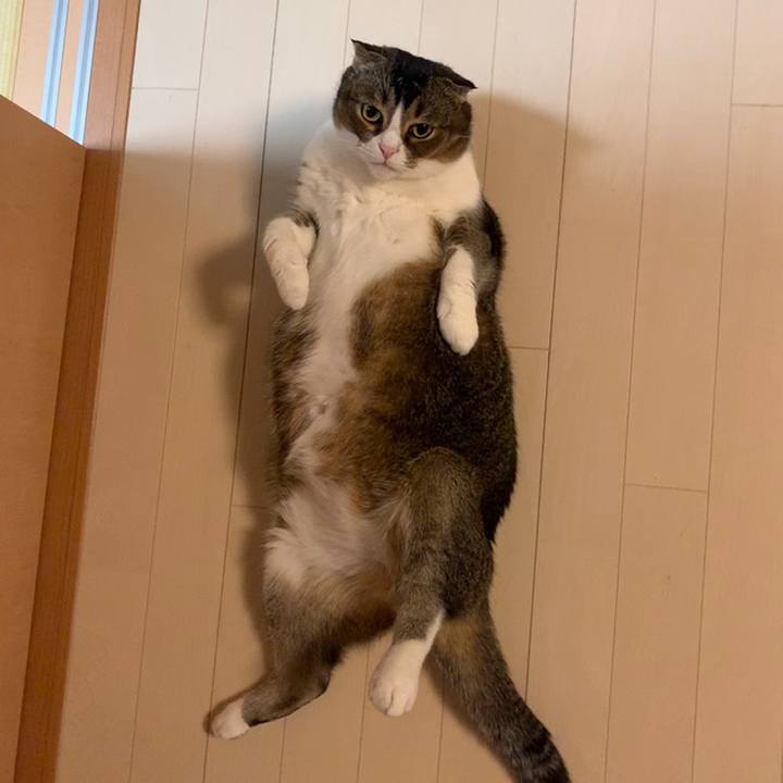 07d3bbae d30d 44d7 a4a7 ac09cb16cfd3 1558453811747