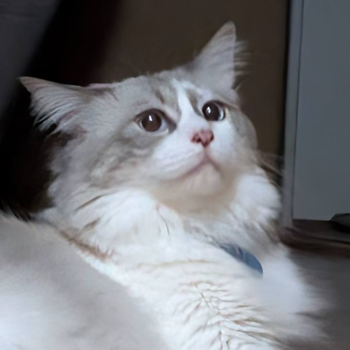 07d3c0d3 e5ad 431d ab04 547b0eda91bd 1759694194458