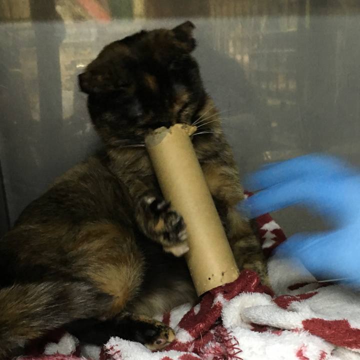 07d3c5ce 9e04 4a1d 914d 6a31c5204498 1515043126962