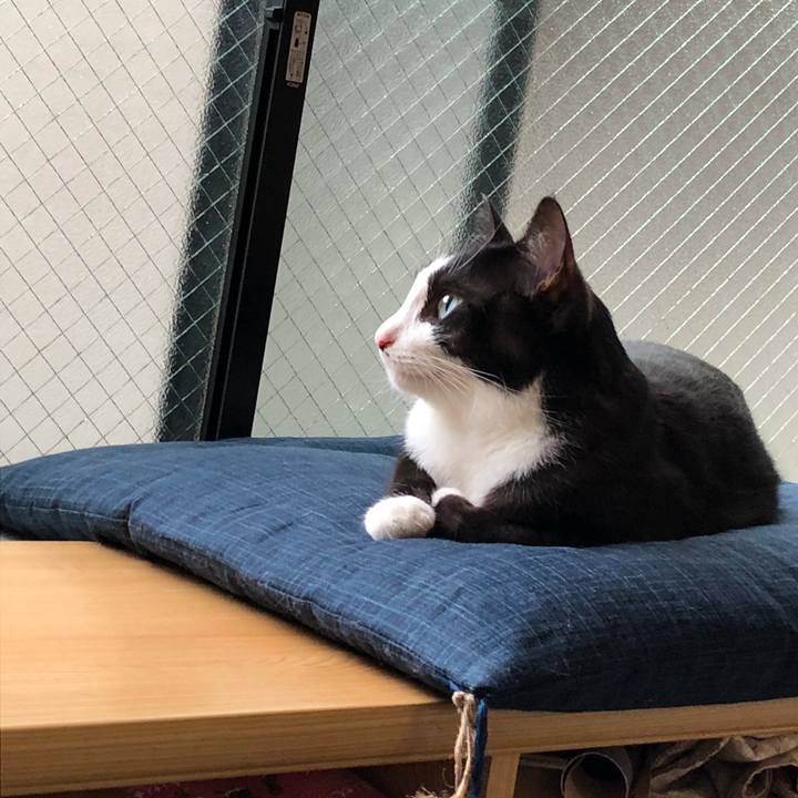 07d3d165 ee1c 4e57 a495 abbb070760c1 1532556837453