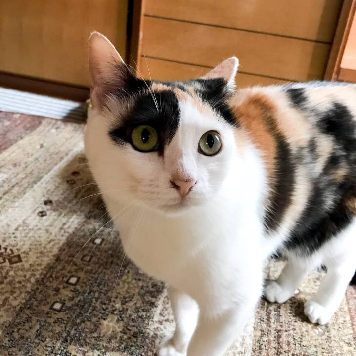 07d3daf1 fdcc 41e6 a780 5e283b164e48 1530844781942