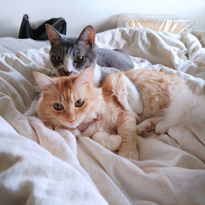 07d3ec7c 25f5 43eb 95cc 119afa477ff6 1697848286862