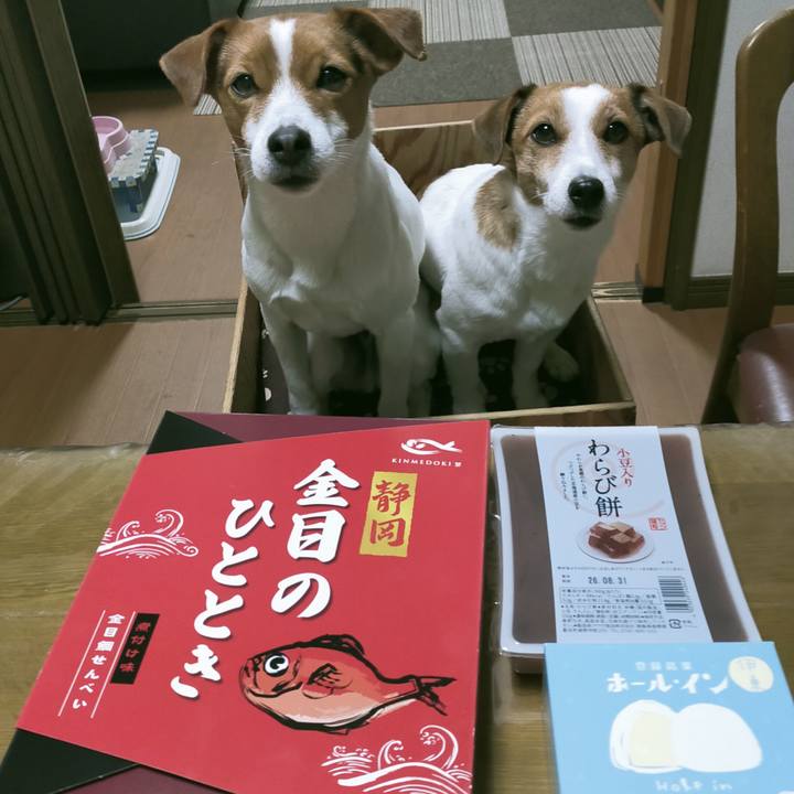 07d3f5f5 e47b 46c3 81cb 6da76667a1de 1769330844791