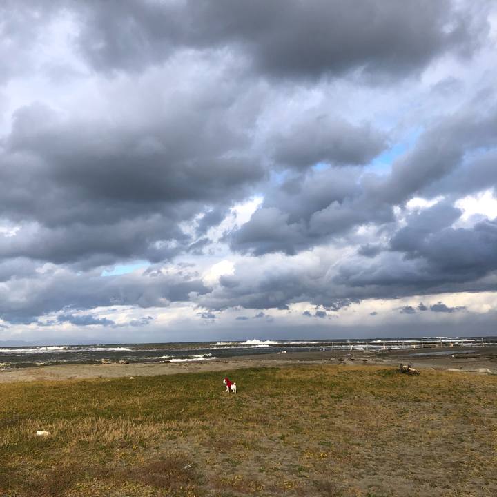 07d3fcac 0fa4 4202 8df5 2433103101a9 1604876381324