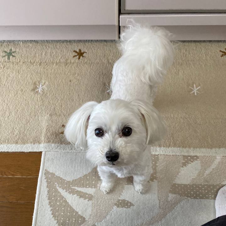 07d40984 7823 4915 9f7c 48a90476d839 1592228209909