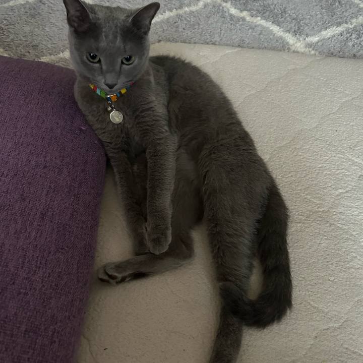 07d45243 92b8 4ba2 9869 cebdd8267e9f 1695349406844