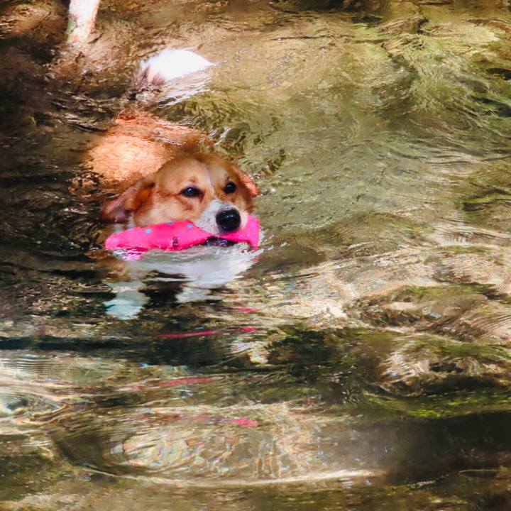 07d46a8a 82a0 41e5 9ea6 7f908594c9eb 1626579005998