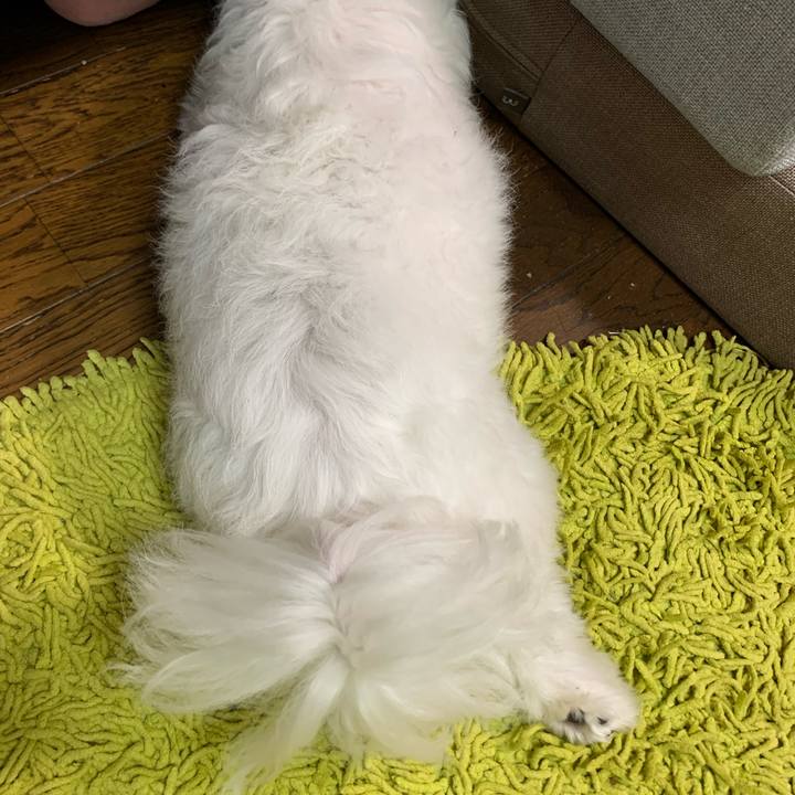 07d47e5b fa82 43e6 85a3 2a7540a73be0 1658786013927