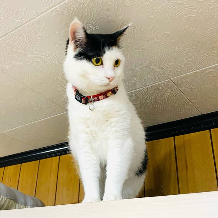 07d49c4f a306 4990 a042 80668145e338 1684325557829