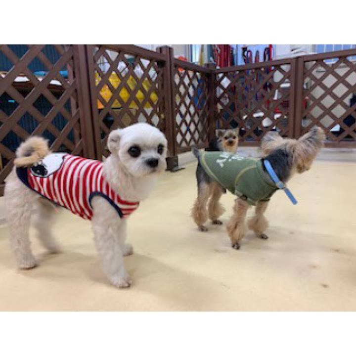 07d49d8d 6294 4e99 8ec7 391472263132 1574249194531