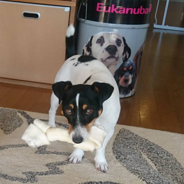 07d4c159 4515 4ee7 b6b4 d955f954a67d 1546701416267