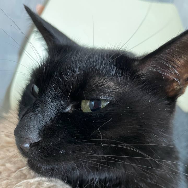 07d4eb60 8a85 4fc2 ae11 76a5fe4d28b2 1728795128620