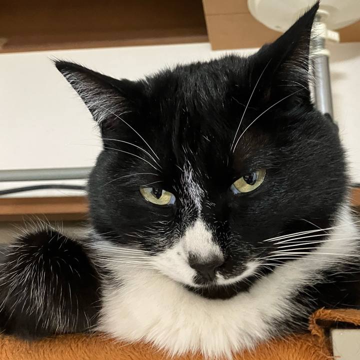 07d4f2a5 af98 4d17 8a02 0b59eb306dc7 1687231853938