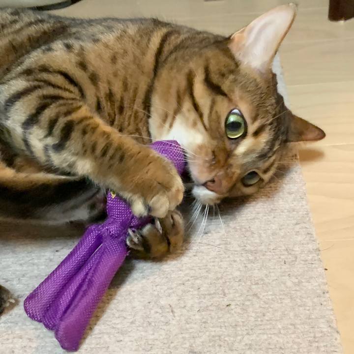 07d50d76 8e24 4c48 b399 3432f54f5ae9 1594071007270