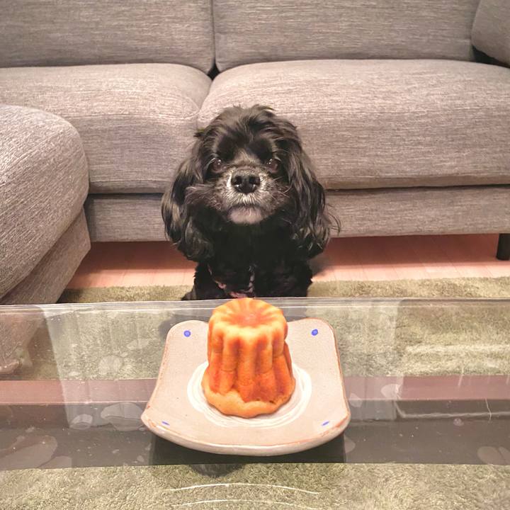 07d55bcb 8104 4a33 9a18 599d54217bd7 1653296099965