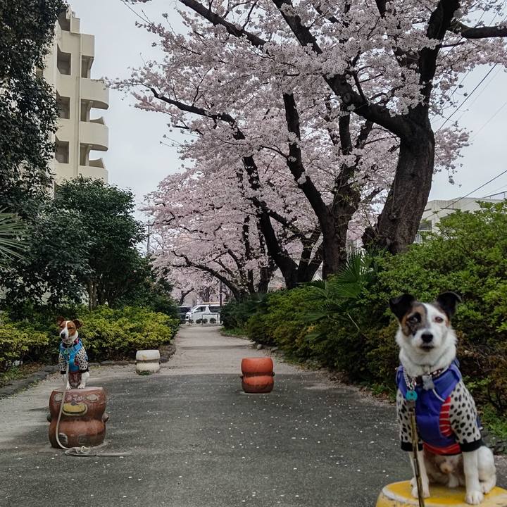 07d5760a ac17 4df8 9b8c 10761f90e946 1648595168719