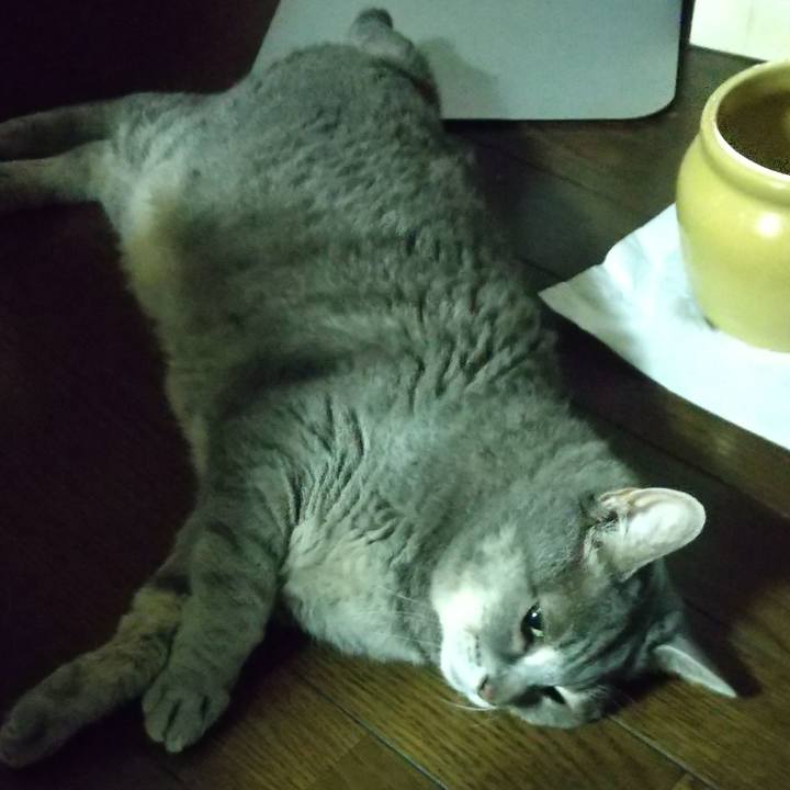 07d5858a 720b 46ce b0c9 03b5cc339b57 1662299878920