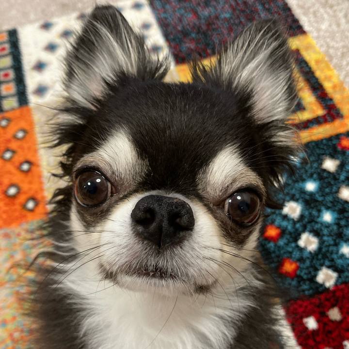 07d5a3e3 2ead 4f96 b11f 5fc3f4c4f213 1688767700687