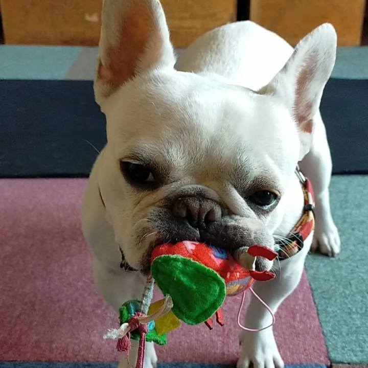 07d5be3d 186b 40b0 8f4d b7beaac89a36 1653444437702