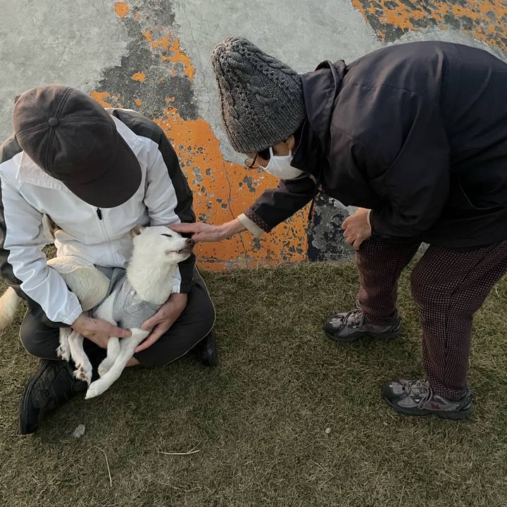 07d5bfb6 ea12 4b15 b4e5 79561c6d31ee 1670494821052