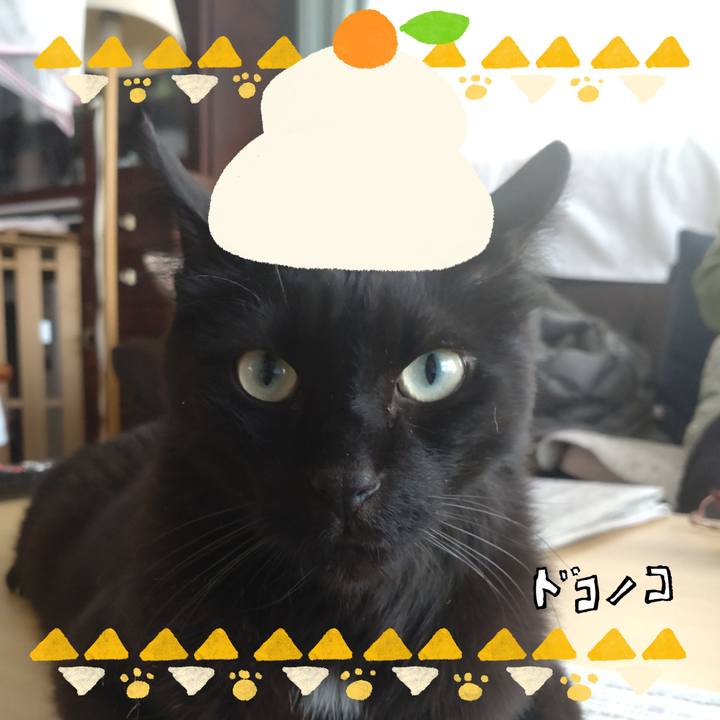 07d5fde8 c9e7 47a6 9b53 a131a8d00f34 1704167126729