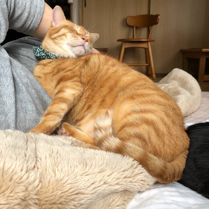 07d61bce c48c 4f71 b97d 7aabe5dc1c78 1559946419397