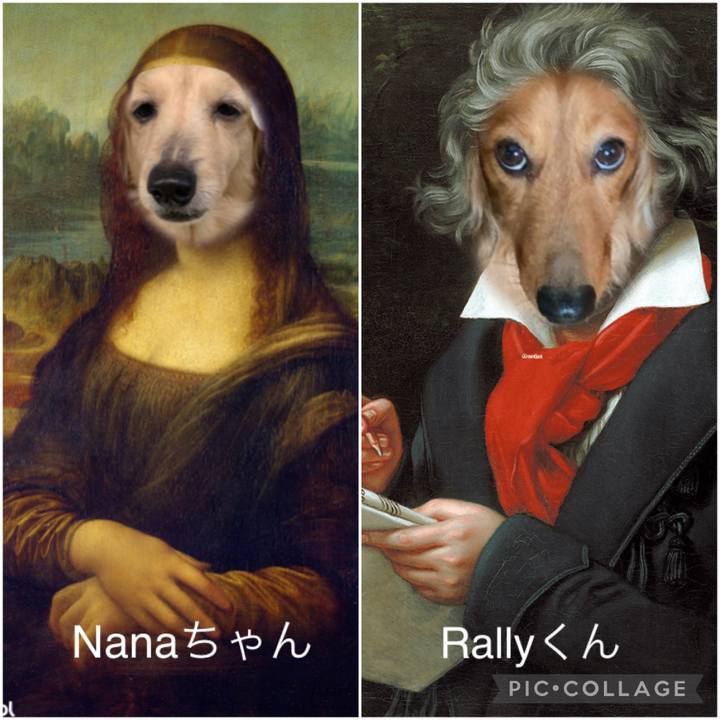 07d61c13 6988 48e3 8be3 52b083c90a1c 1636713497055