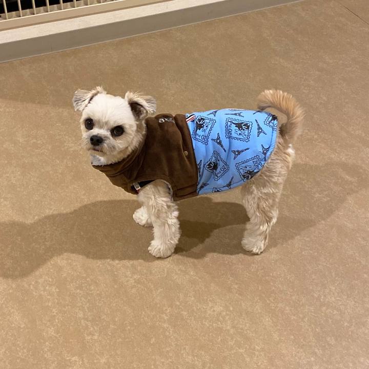 07d666b0 4f07 4d7d a645 c788006f7aff 1579316017260