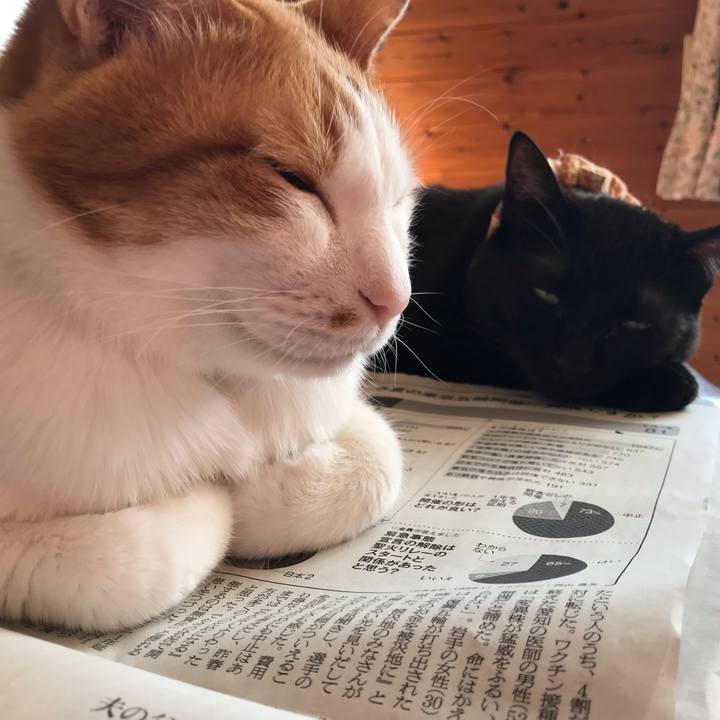 07d6794f 5237 49d1 97d2 38b268c5a779 1621031281039