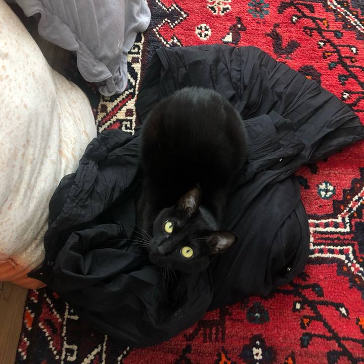 07d6924c 97e0 47ad 96c6 e03c929e9f25 1618533221437