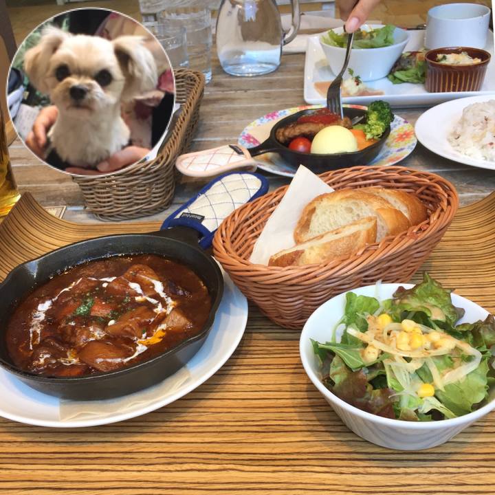 07d693ce 003e 487d 9d46 df7607e72a6b 1521282968125