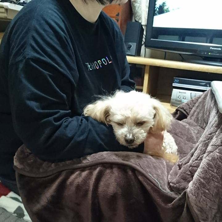 07d6bd2c adad 4a15 b26c 003297342efc 1616327364926