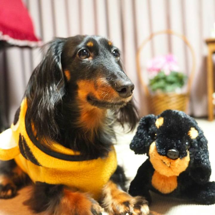 07d6db96 d537 49e1 ac40 4f5abdba87f3 1519391905815