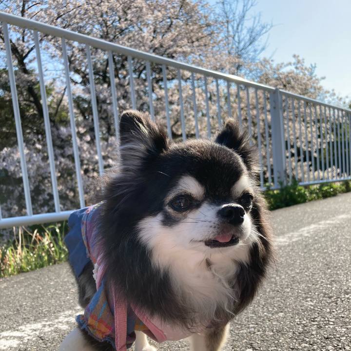 07d6f457 9583 4da5 bcb9 95c2f7058f76 1775176163417