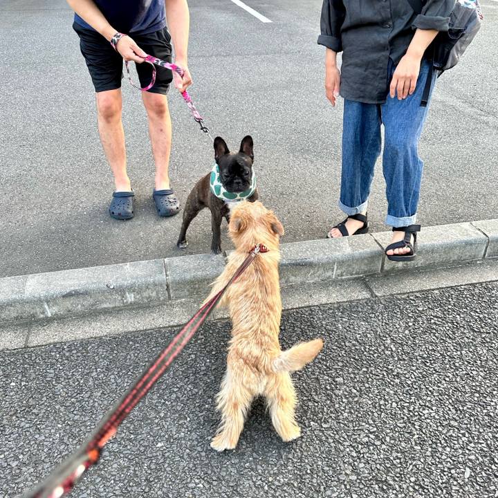 07d705dc 5f12 4c2e b3e1 3fae17c824ad 1721803018897