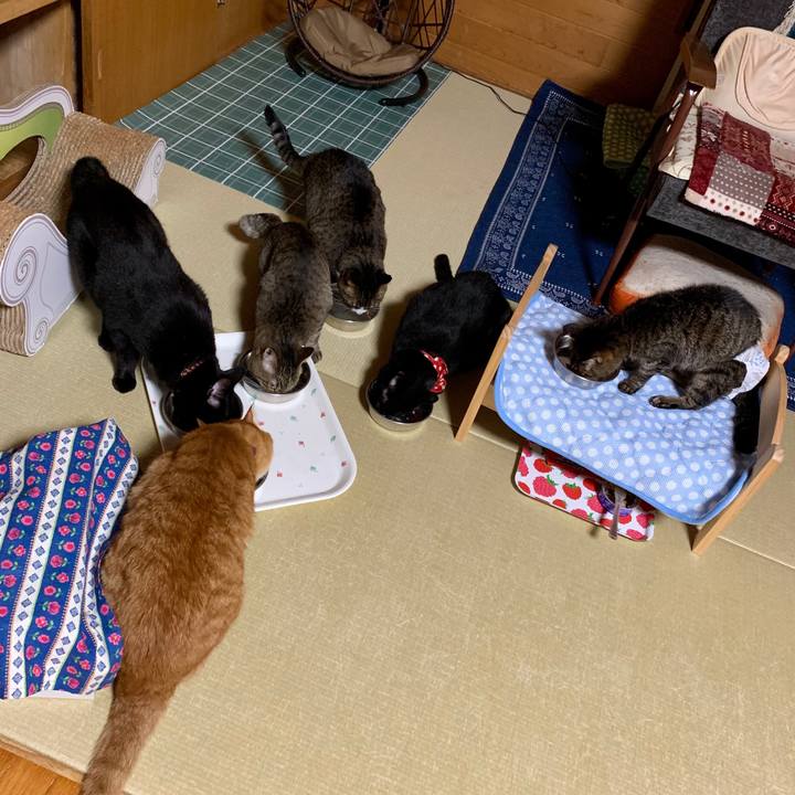 07d7335f e1e0 480d a2c8 6c497614b17c 1563715204841