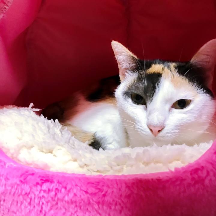 07d73ba1 81fc 45dc 9551 59e06fc703f9 1508463059941