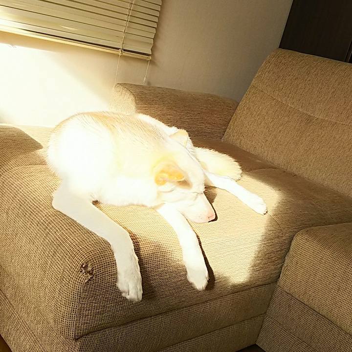 07d787c2 09bf 4866 bdc1 c64e205af63e 1512527139399