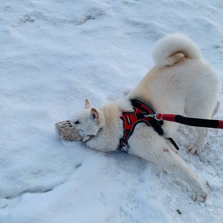 07d79fb0 0eb6 4f2c ad71 e456ea8b28a0 1678747680121