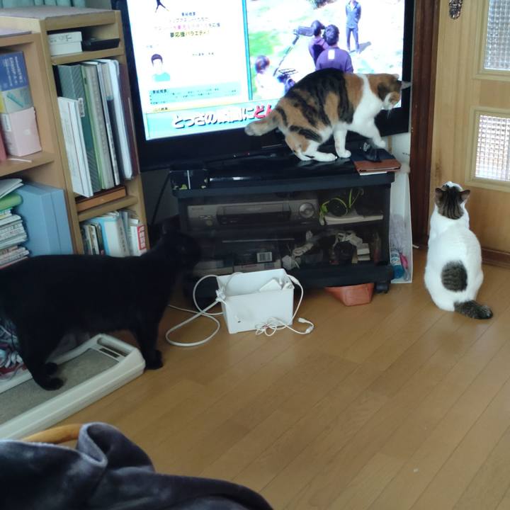 07d7f2c3 9d1f 4076 8c3b 03e2ccfcef9f 1695447509327