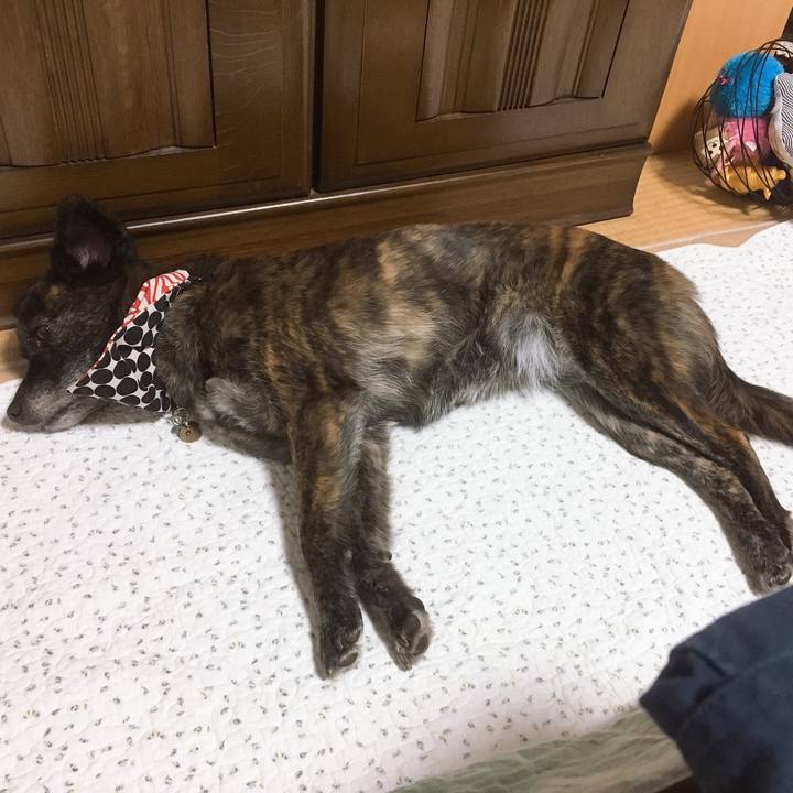 07d83b3c f833 482f b539 10e2792ea102 1554477195422