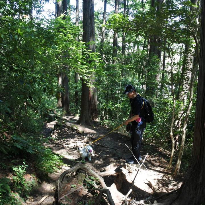 07d83b9c 06fc 4964 bf99 93345c541693 1685887067758