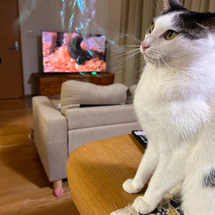 07d847d7 efcf 47e2 9dfb 286b6ac72c21 1737375493437