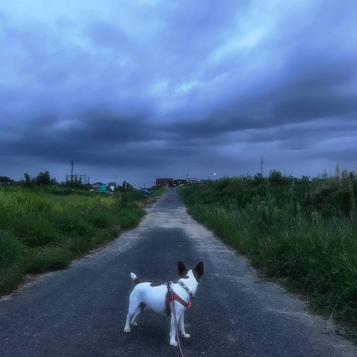 07d848ee 7c4d 4341 a718 09087fddec42 1534768788065