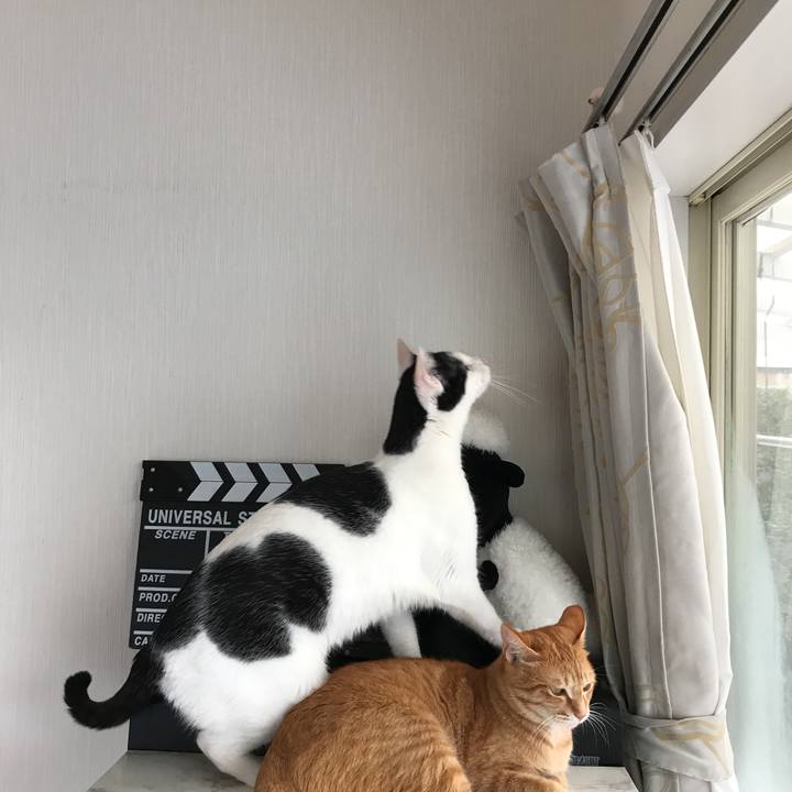 07d872a2 5c98 46ba 9c25 6a1e0d447156 1518741186992